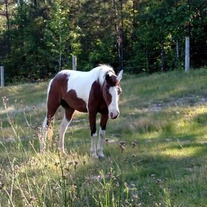 Meet your Posher, Heather
